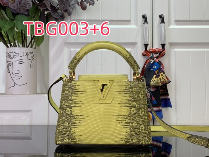 TBG003 Capucines hand bag N98156