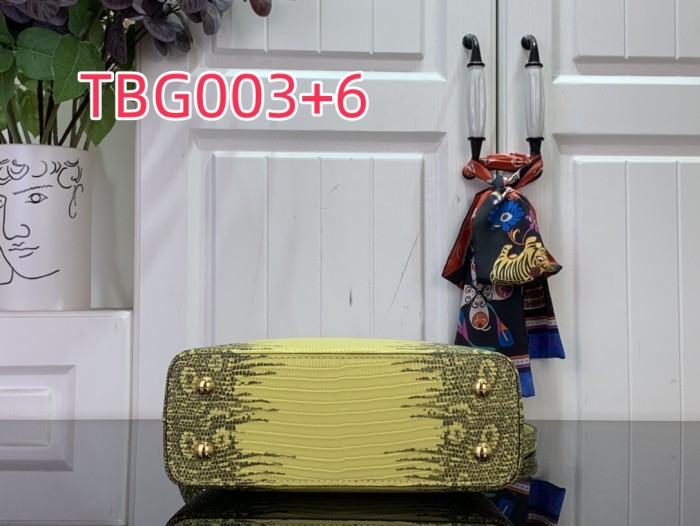TBG003 Capucines hand bag N98156