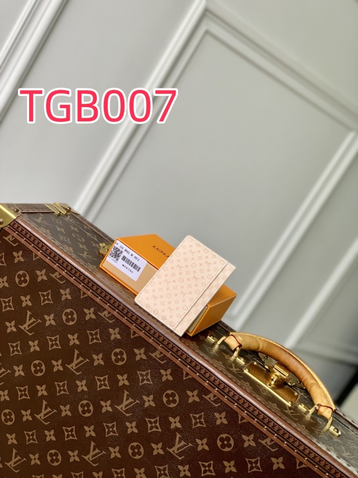 TBG007 Louis Vuitton card holder M25750
