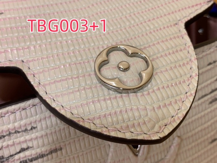 TBG003 Capucines hand bag N98156