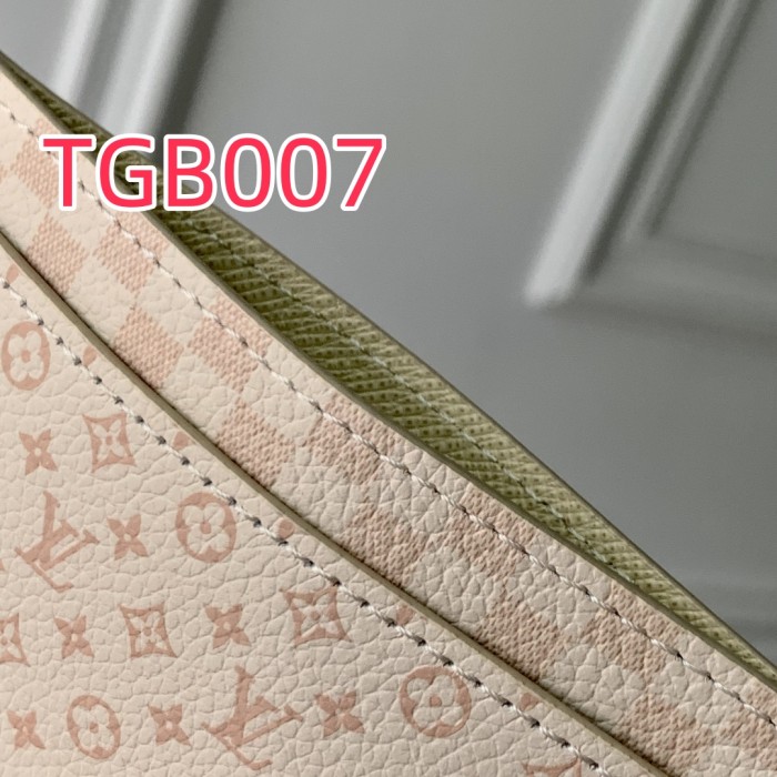 TBG007 Louis Vuitton card holder M25750