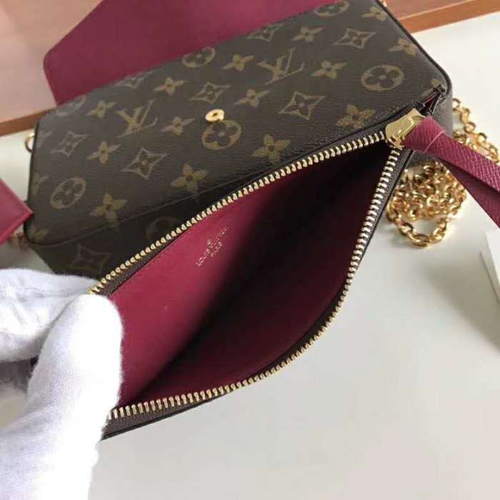 Louis Vuitton LV Women Félicie Pochette Bag in Monogram Canvas-Brown