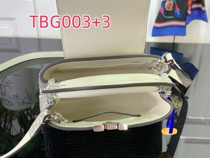 TBG003 Capucines hand bag N98156