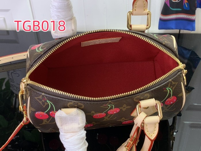 TBG018 LV x TM Speedy Bandoulière 20 Bag m13094