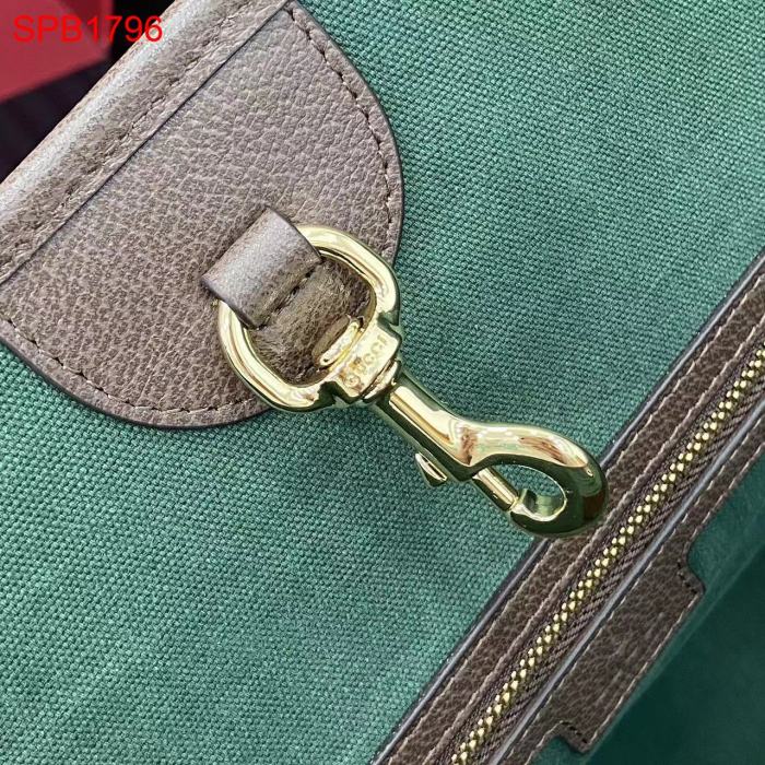 SPB1796 Ophidia series handbag