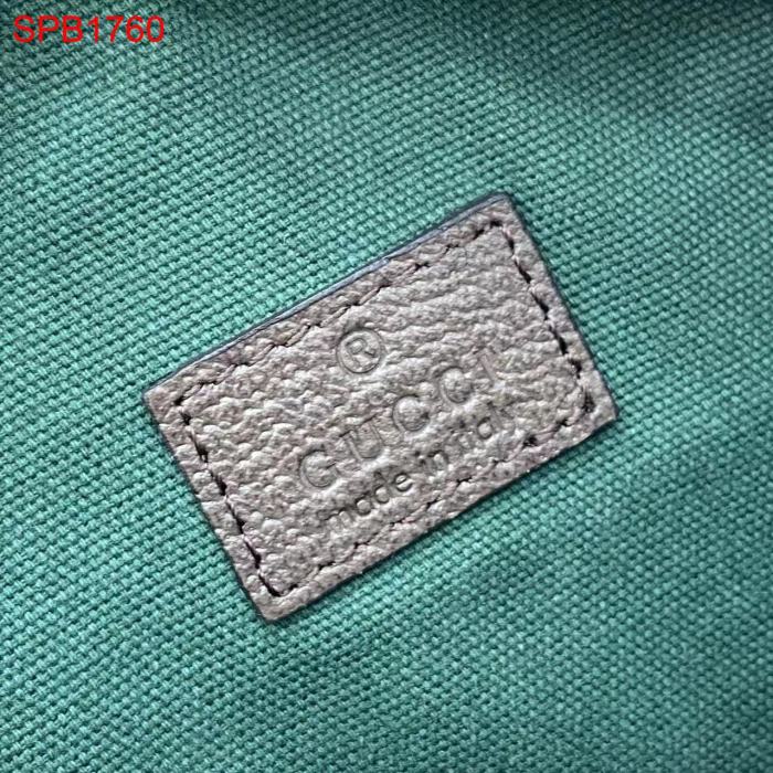 SPB176 Ophidia series handbag