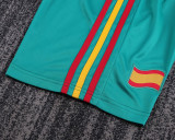 2010 Spain Green Goalkeeper Retro Kids Soccer Jersey