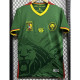 25-26 Cameroon Home Fans Soccer Jersey