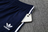 25-26 Italy Royal blue Training Short Suit