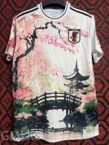 24-25 Japan Special Edition Fans Training Shirts (梅花与桥)
