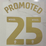 24-25 Sunderland Away Print PROMOTED #25 Fans Soccer Jersey