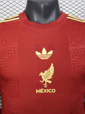 25-26 Mexico Gold Cup Red Long Sleeve Player Version Soccer Jersey (长袖球员)