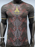 2025 PSG Grey Red Champion Player Version Training shirts
