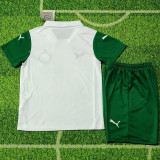 25-26 Palmeiras Away Kids Soccer Jersey