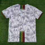23-24 Mali Home Fans Soccer Jersey