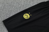 25-26 Dortmund Yellow Training Short Suit