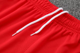 25-26 Bayern Red Training Short Suit