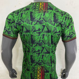 23-24 Mali Away Fans Soccer Jersey