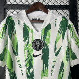 25-26 Nigeria Home Fans Soccer Jersey