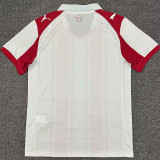 25-26 Southampton Home Fans Soccer Jersey