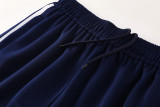 2025 AD Fancy blue Jacket Tracksuit #AJ23
