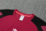 25-26 River Plate Red grey Training Short Suit