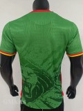 25-26 Cameroon Home Player Version Soccer Jersey