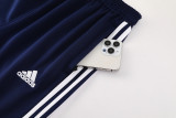 2025 AD Fancy blue Jacket Tracksuit #AJ23