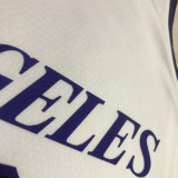 22-23 LAKERS DAVIS #3 White City Edition Top Quality Hot Pressing NBA Jersey