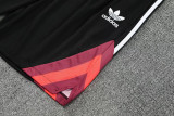 25-26 River Plate Red grey Training Short Suit
