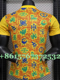24-25 Ghana Yellow Player Version Training shirts
