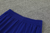 24-25 Brazil Fancy blue Training Short Suit