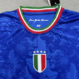 24-25 Italy Blue Special Edition Fans Soccer Jersey (Print Personalized AD)