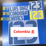 24-25 Colombia Home Fans Soccer Jersey