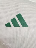 25-26 Algeria Light Green Player Version Training shirts #A38淡绿