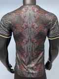 2025 PSG Grey Red Champion Player Version Training shirts