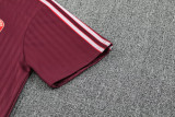 25-26 Bayern Jujube red Training Short Suit