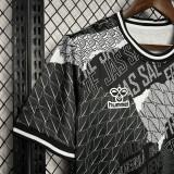 24-25 Denmark Black Training Shirts