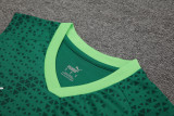 24-25 Palmeiras Green Tank top and shorts suit