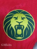 25-26 Cameroon Away Player Version Soccer Jersey