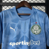 25-26 Palmeiras Blue Goalkeeper Soccer Jersey