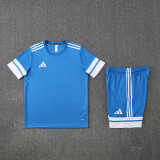 2025 AD10 Fancy blue Training Short Suit