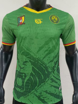 25-26 Cameroon Home Player Version Soccer Jersey
