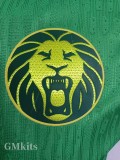 25-26 Cameroon Home Player Version Soccer Jersey