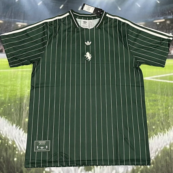 25-26 JUV Dark Green Casual Edition Training shirts