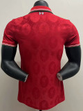 25-26 LIV Red Special Edition Player Version Training shirts (队标纹)
