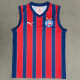 25-26 BaHia Away Vest