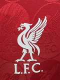 25-26 LIV Red Special Edition Player Version Training shirts (队标纹)