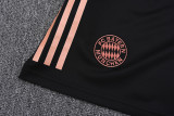 25-26 Bayern Khaki Training Short Suit