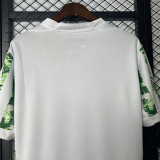 25-26 Nigeria Home Fans Soccer Jersey